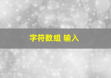 字符数组 输入